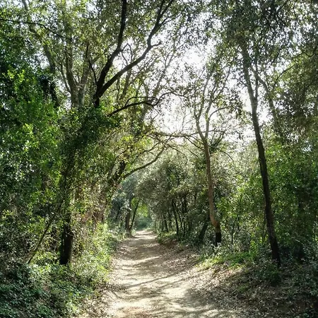 Mas Valoria Casa rural
