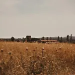 Mas Valoria 퍼라탈레다